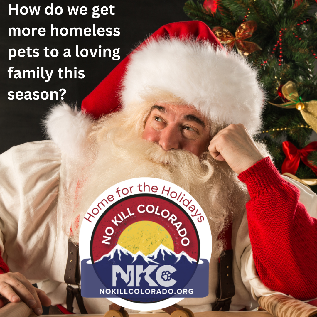 FB Media Home for the Holidays